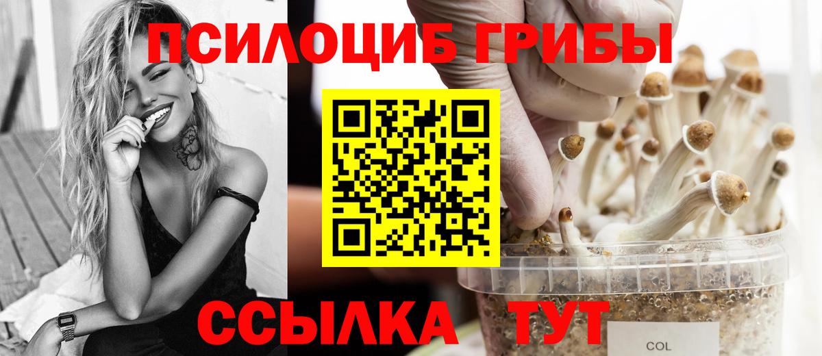 Галлюциногенные грибы Cubensis  Псилоцибиновые грибы GOLDEN TEACHER  Стерлитамак  Вход с VPN 