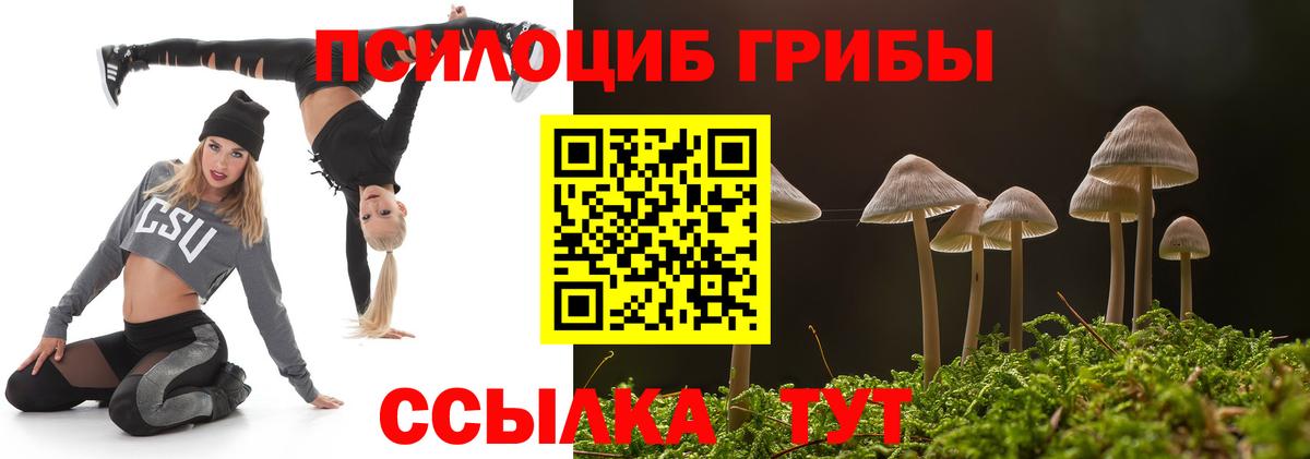 Псилоцибиновые грибы ЛСД Стерлитамак